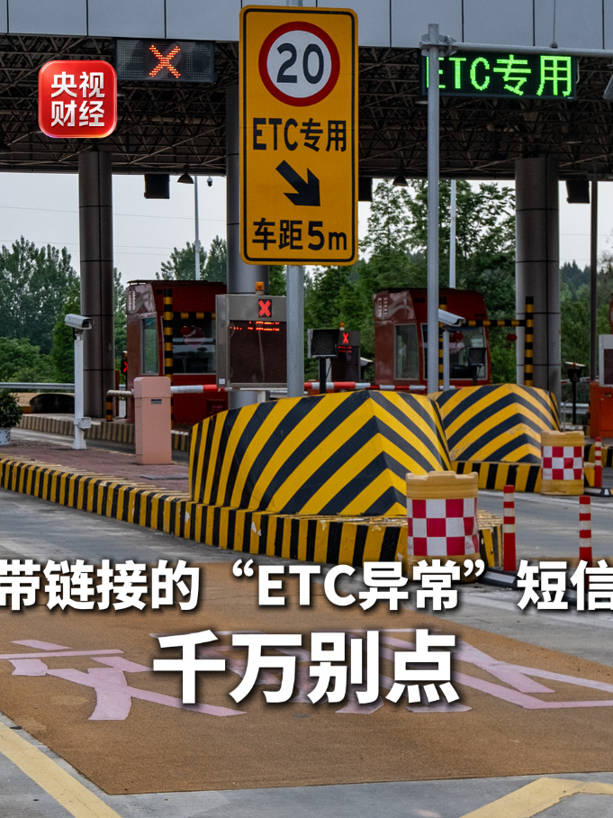 雷速12